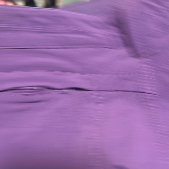 Eddie Bauer Purple Cargo Pants - Picture 4 of 16